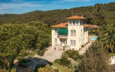 Villa Gaius 8+2: Building, Tree, House, Home, Residential Area, Architecture, Shrub, Facade, Landscape, Estate
