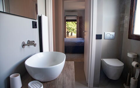 Terra di Siena 14: Bagno, Idraulico Fixture, Lavandino Del Bagno, Interior Design, Pavimentazione, Pavimento, Legna, Lavello, Rubinetto, Gabinetto