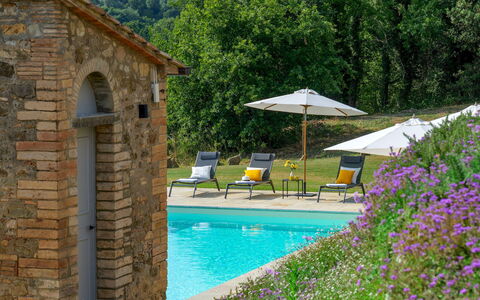 Villa Il Pozzo 14: Arbusto, Piscina, Estate, Giardino, Villetta, Hacienda, Agriturismo, Landscaping, Mobili Da Esterno, Villa