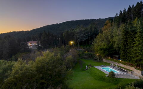 Villa la Rassinata 8: Landscape, Forest, Hill Station, Larch, Jungle, Landscaping, Tropical And Subtropical Coniferous Forests, Evergreen