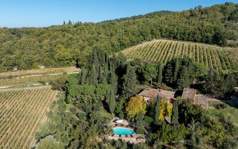 Castellare in Poggio 10: Vegetazione, Paesaggio, Area Rurale, Lotto, Piantagione, Estate, Villaggio, Giardino, Landscaping, Eco Hotel