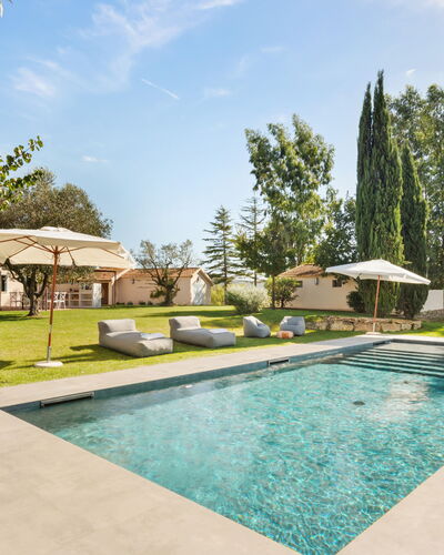 Casale Rondinella 6+2: Tree, Swimming Pool, Garden, Land Lot, Landscaping, Shade, Resort, Lawn, Estate, Eco Hotel