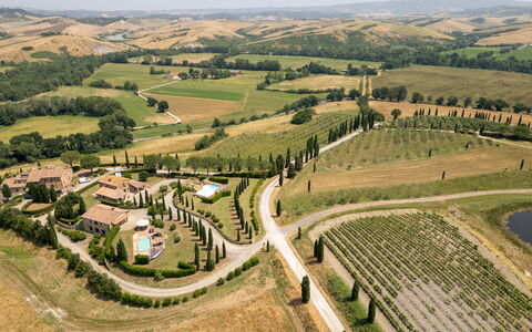 Casale Teatro 10: Plain, Visione Globale, Paesaggio, Lotto, Fotografia Aerea, Piantagione, Campo, Landscaping, Estate, Agricoltura