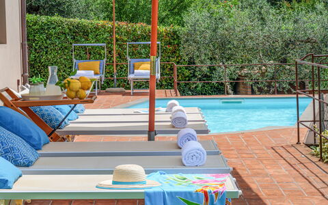 Villa Jasmine 8: Piscina, Mobilia, Mobili Da Esterno, Ricorrere, Vaso Di Fiori, Eco Hotel, Pianta Della Casa, Sedia, Lettino, Shade