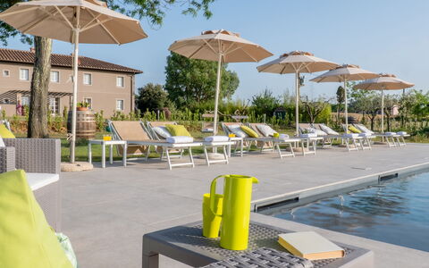 Villa Iole 14: Mobili Da Esterno, Estate, Ricorrere, Sedia, Ombrello, Lettino, Landscaping, Prato, Piscina, Villa