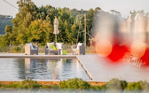 Villa Iole 14: Riflessione, Parco, Piscina, Passerella
