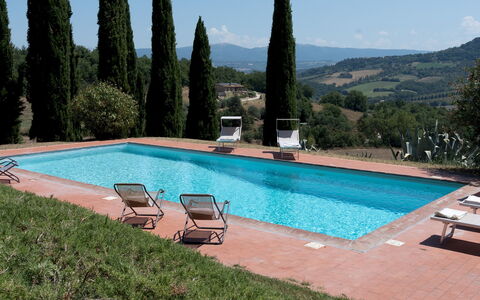Villa la Pizzichina 10: Swimming Pool, Estate, Eco Hotel, Villa, Hacienda, Resort, Landscaping, Evergreen, Resort Town