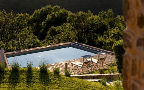 Poggio delle Lumie 6: Piscina, Mobili Da Esterno, Giardino, Lettino, Landscaping, Backyard, Eco Hotel, Sedia A Sdraio, Agriturismo, Villa
