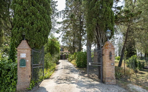 Podere Casanovina 12: Arbusto, Giardino, Cancello, Estate, Driveway, Landscaping, Hacienda, Sempreverde, Recinzione