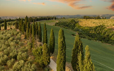Podere Casanovina 12