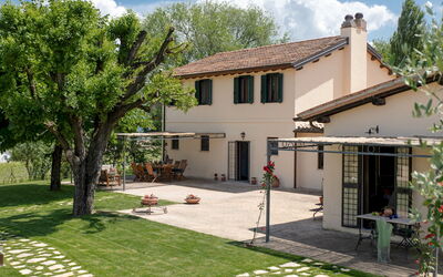 La Collina degli Ulivi 8+2