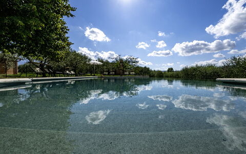 Podere Gellino 14: Blu, Acqua, Natura, Riflessione, Piscina, Stagno, Giardino, Giochi D'Acqua, Serbatoio, Reflecting Pool