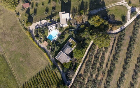 Brightline Villa 8