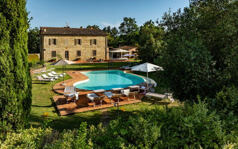 Podere Sant'Eugenio 14: Piscina, Estate, Agriturismo, Hacienda, Piantagione, Agricoltura, Villa, Eco Hotel, Azienda Agricola, Ricorrere