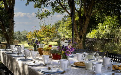 Il Castellare 14