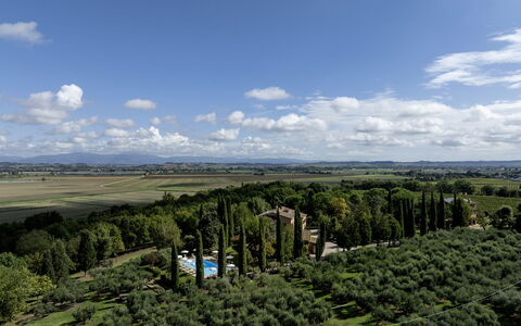 La Burraia 18: Tree, Nature, Vegetation, Landscape, Land Lot, Plain, Plantation, Bird'S-Eye View, Aerial Photography, Landscaping