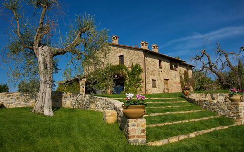 Terra San Raffaele 10+3: Erba, Paesaggio, Pascolo, Lotto, Area Rurale, Plain, Agriturismo, Estate, Villetta