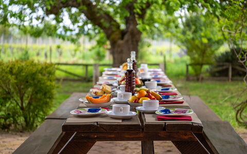 Sangiovese 14: Tavola, Tavolo, Mobilia, Cibo, Mobili Da Esterno, Giardino, Tavolo Esterno, Serveware, Prima Colazione, Picnic