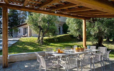 Il Poggione 10: Mobilia, Legna, Tavolo, Mobili Da Esterno, Sedia, Tavolo Esterno, Shade, Cucina & Sala Da Pranzo Tavolo, Struttura Esterna, Giardino