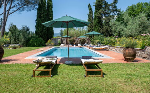Villa Collegigliato 8: Piscina, Ricorrere, Giardino, Arbusto, Mobili Da Esterno, Lettino, Landscaping, Eco Hotel, Shade, Hacienda