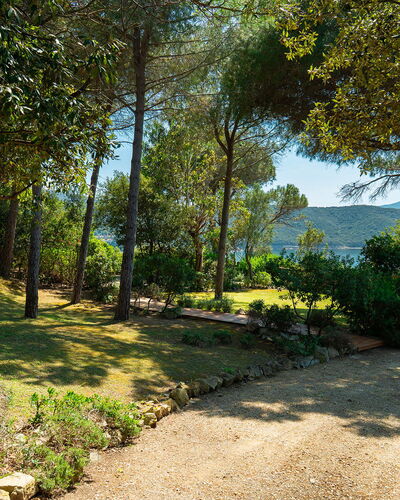 Villa Il Faro 10: Leaf, Tree, Nature, Green, Branch, Vegetation, Shrub, Plant Community, Garden, Trunk