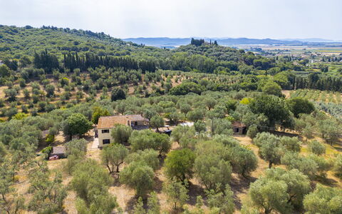 Casale le Lupe Apartments: Albero, Vegetazione, Paesaggio, Area Rurale, Comunita 'Impianto, Lotto, Pascolo, Plain, Piantagione, Campo