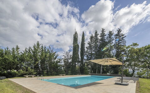 Casa Clara Pool, Casole Elsa, Monti: Blue, Swimming Pool, Shade, Garden, Landscaping, Evergreen, Larch, Eco Hotel
