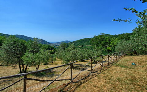 Poggio Conca: Natura, Cielo, Ambiente Naturale, Paesaggio Naturale, Albero, Natura Selvaggia, Montagna, Riserva Naturale, Area Rurale, Hill Station
