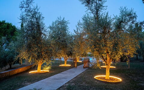 Montelopio: Cielo, Pianta, Manto Stradale, Paesaggio Naturale, Ramo, Larice, Erba, Albero, Asfalto, Spazio Pubblico