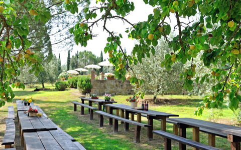 Montelopio: Natura, Riserva Naturale, Albero, Paesaggio Naturale, Botanica, Passerella, Erba, Giardino, Pianta, Primavera