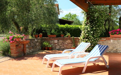 Castelnuovo Berardenga 600: Plant, Flower, Furniture, Property, Flowerpot, Houseplant, Outdoor Furniture, Chair, Wood, Flooring