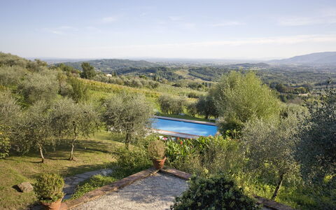 La Loggia 13: Proprietà, Vegetazione, Riserva Naturale, Natura Selvaggia, Cielo, Comunita 'Impianto, Albero, Casa, Immobiliare, Botanica