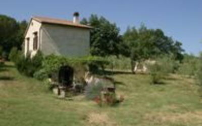 Accommodation:&nbsp;Zi'momo