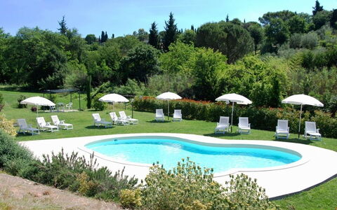 Alloggio:&nbsp;Appartamento Fichi