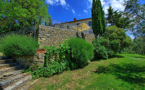 Panzalla: Vegetazione, Proprietà, Verde, Paesaggio Naturale, Parete, Albero, Casa, Erba, Cielo, Architettura