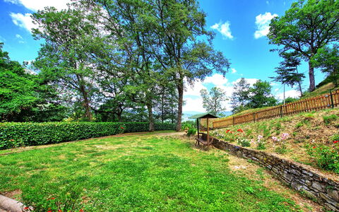 Villa Margherita: Natura, Vegetazione, Proprietà, Verde, Cielo, Paesaggio Naturale, Immobiliare, Albero, Erba, Giardino
