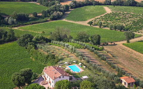 Accommodation:&nbsp;Poggio Olivo 870.1
