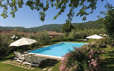 La piscina grande con giardino