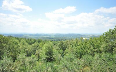 Podere Orietta