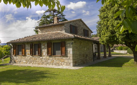 Sunflower: House, Property, Home, Building, Cottage, Real Estate, Farmhouse, Architecture, Tree, Estate