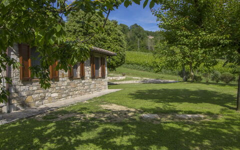 Sunflower: Property, Green, Grass, Natural Landscape, Tree, House, Garden, Architecture, Building, Estate
