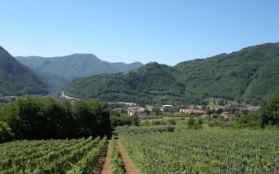 Accommodation:&nbsp;Maria Luisa