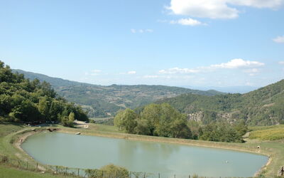 Fattoria Il Monte