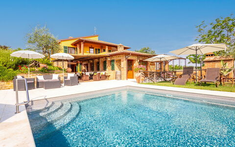 Villa Amadeo: Acqua, Pianta, Cielo, Proprietà, Piscina, Azzurro, Albero, Costruzione, Tempo Libero, Arecales