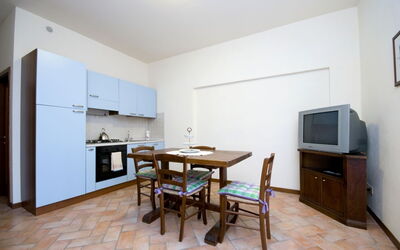 Accommodation:&nbsp;Viola