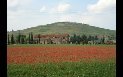 Accommodation:&nbsp;Gatto