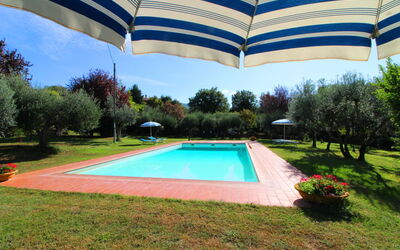 Ca di Maestro: Pianta, Proprietà, Acqua, Ombrello, Cielo, Azzurro, Albero, Piscina, Shade, Costruzione