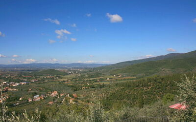 Il Nido Del Cu Cu