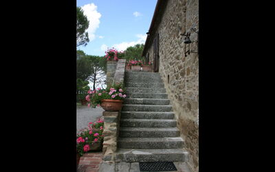 La Quiete Nel Vigneto