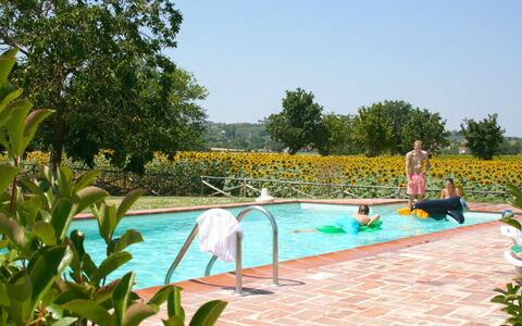 Il Viaggiolo: Piscina, Tempo Libero, Mobili Da Esterno, Ricreazione, Giardino, Ricorrere, Vacanza, Shade, Landscaping, Eco Hotel